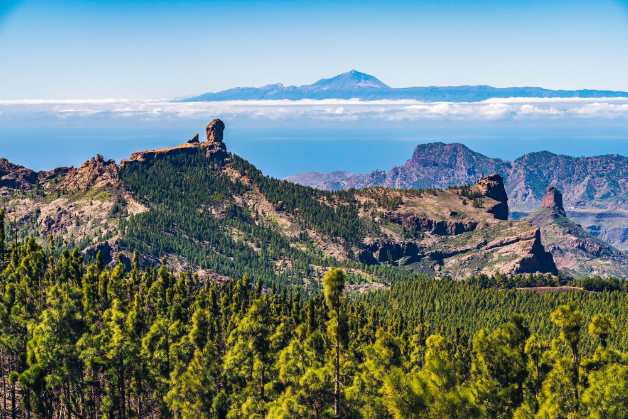 roque nublo