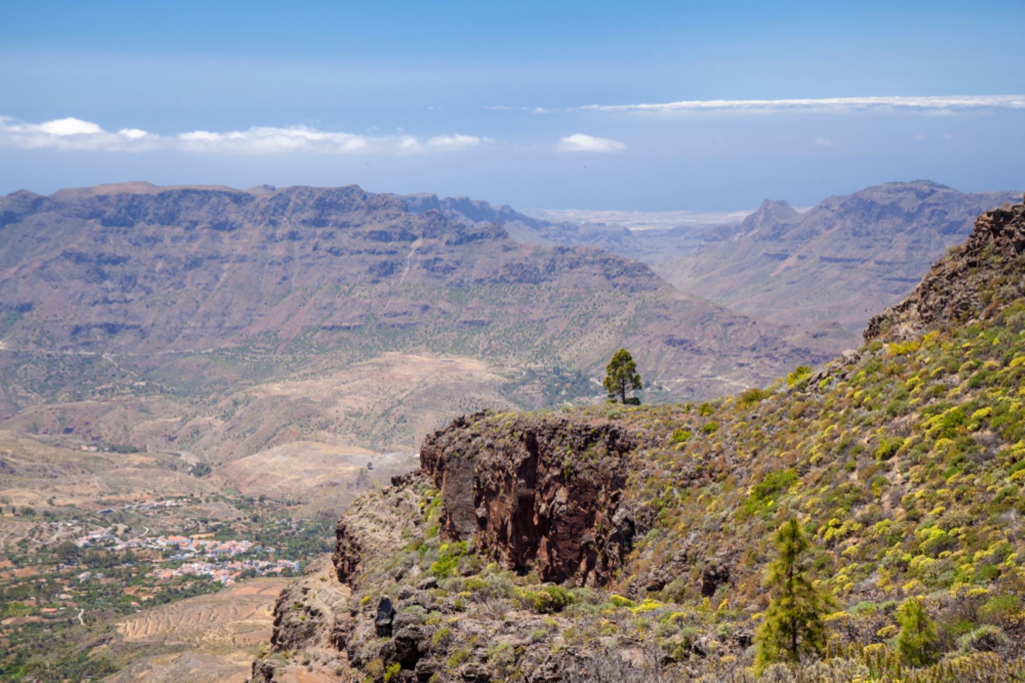 morro de la hierba huerto