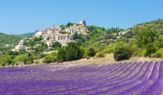 small town near lavender field