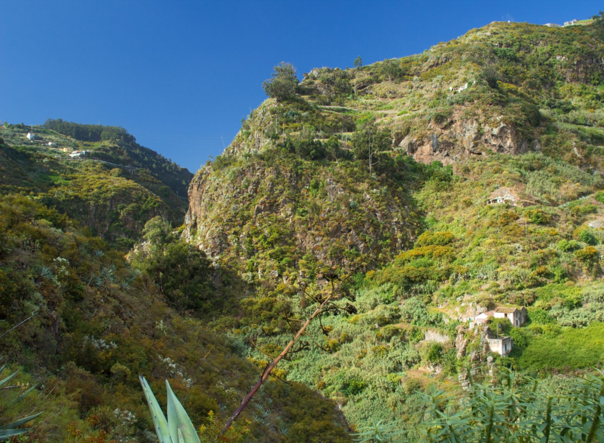 barranco azuaje