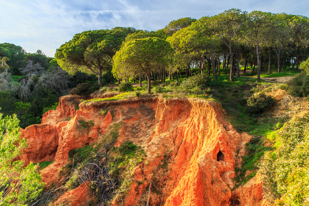 natuurpark ria formosa