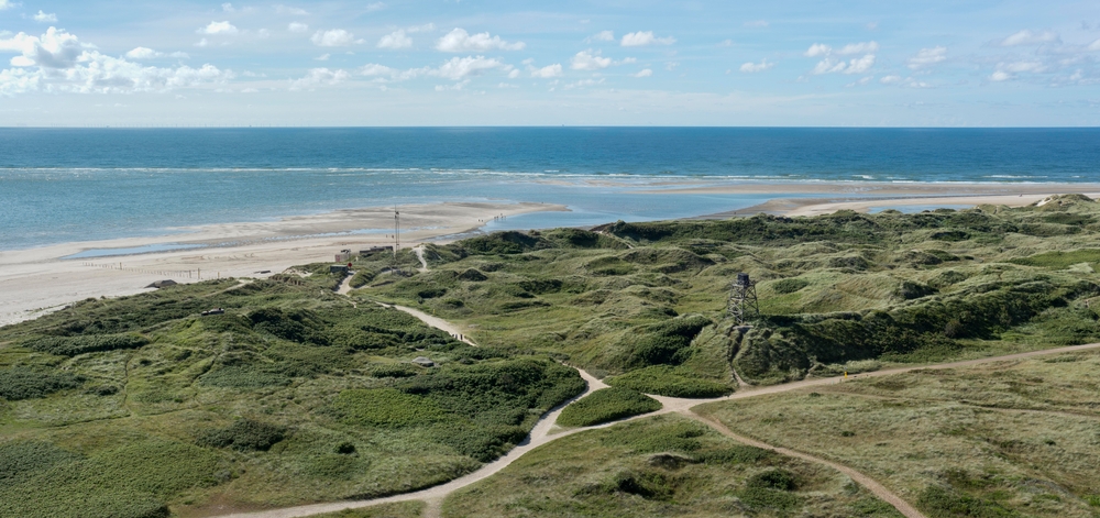 Blåvand Strand