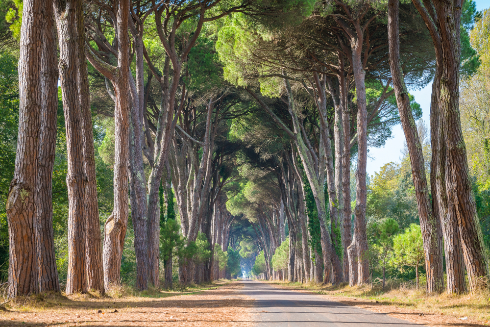 Pisa, Lucca en omgeving: top 10 van bezienswaardigheden