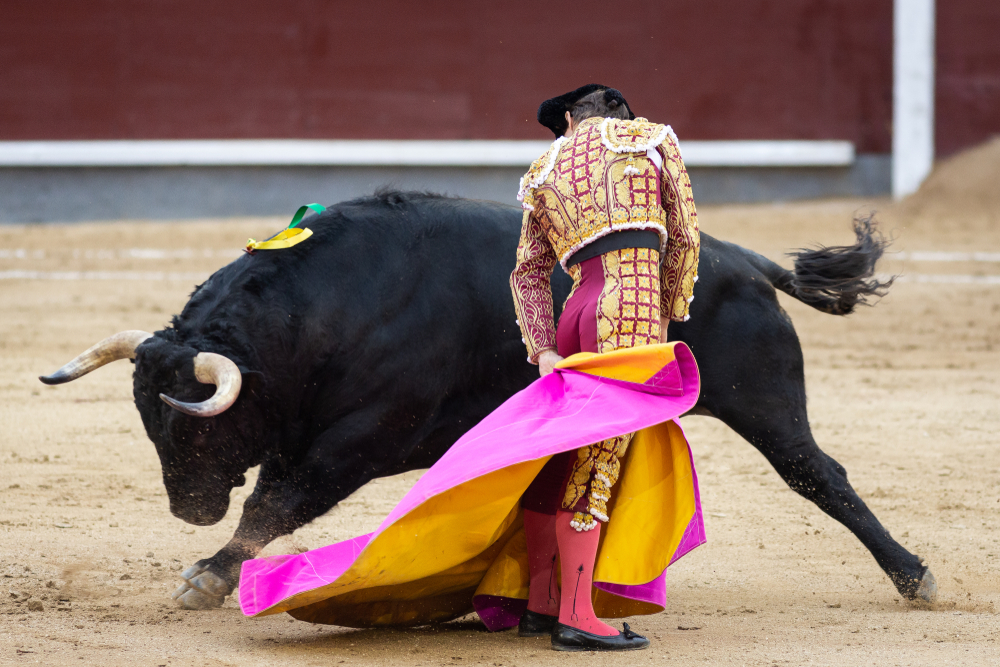 Stierengevechten, Spaanse traditie